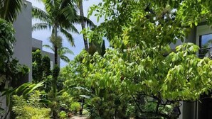 Jardin