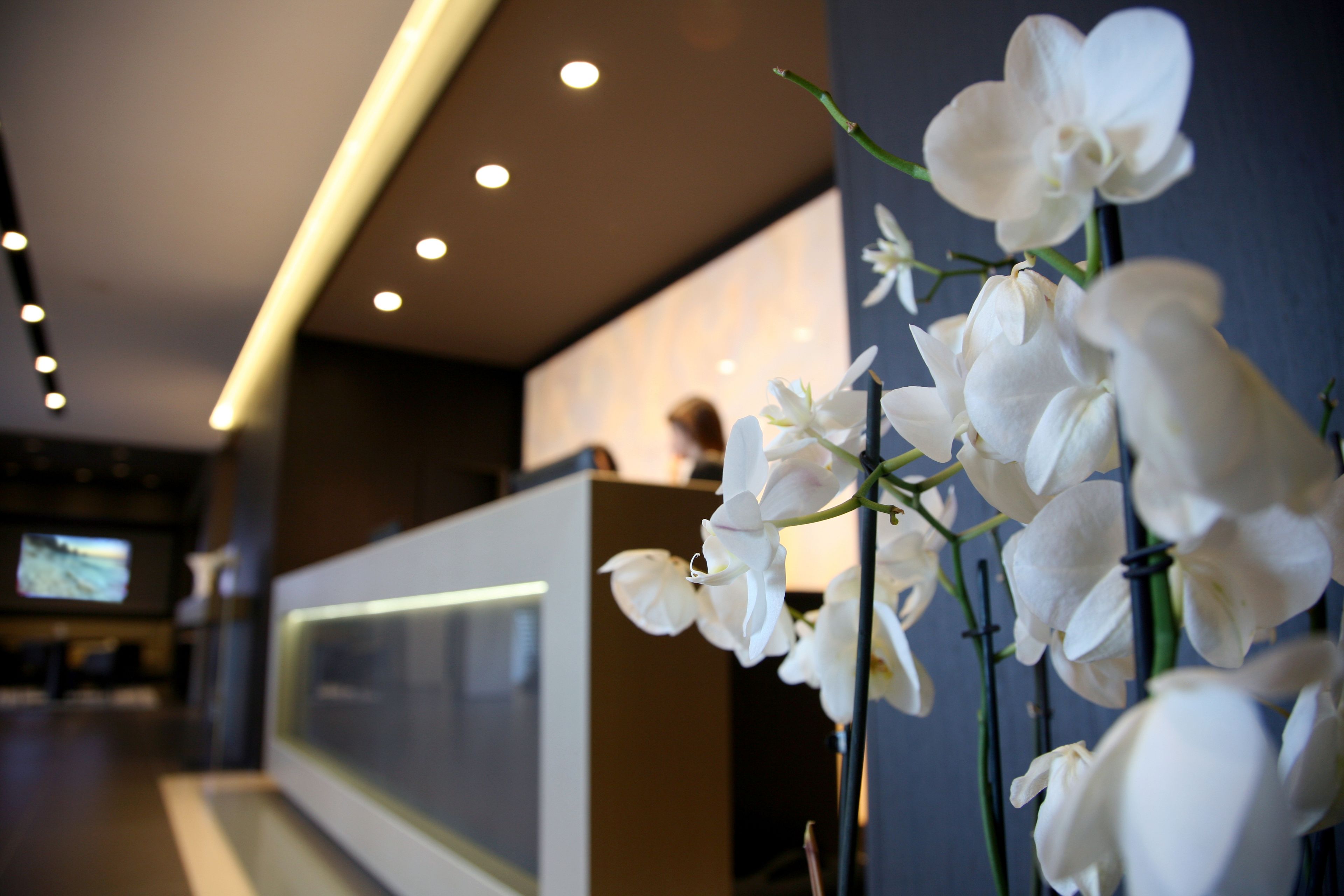 Un área de recepción con un mostrador moderno, una pantalla de televisión y orquídeas blancas en primer plano.