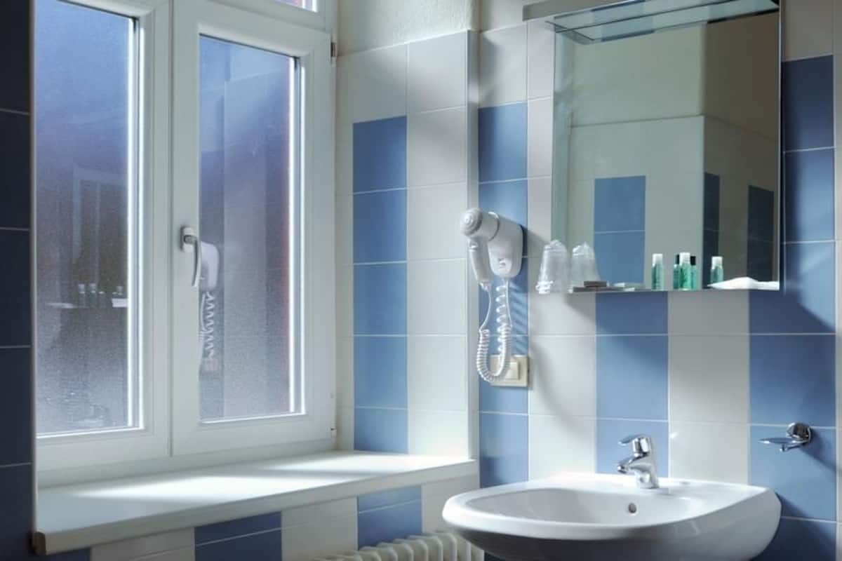 Shower, free toiletries, hair dryer, bidet