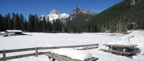 A snowy outdoor area with wooden picnic tables and a mountain in the background.