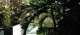 Silvikris Villas