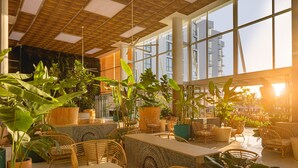 A spacious indoor area with wicker furniture, large windows, and abundant greenery.