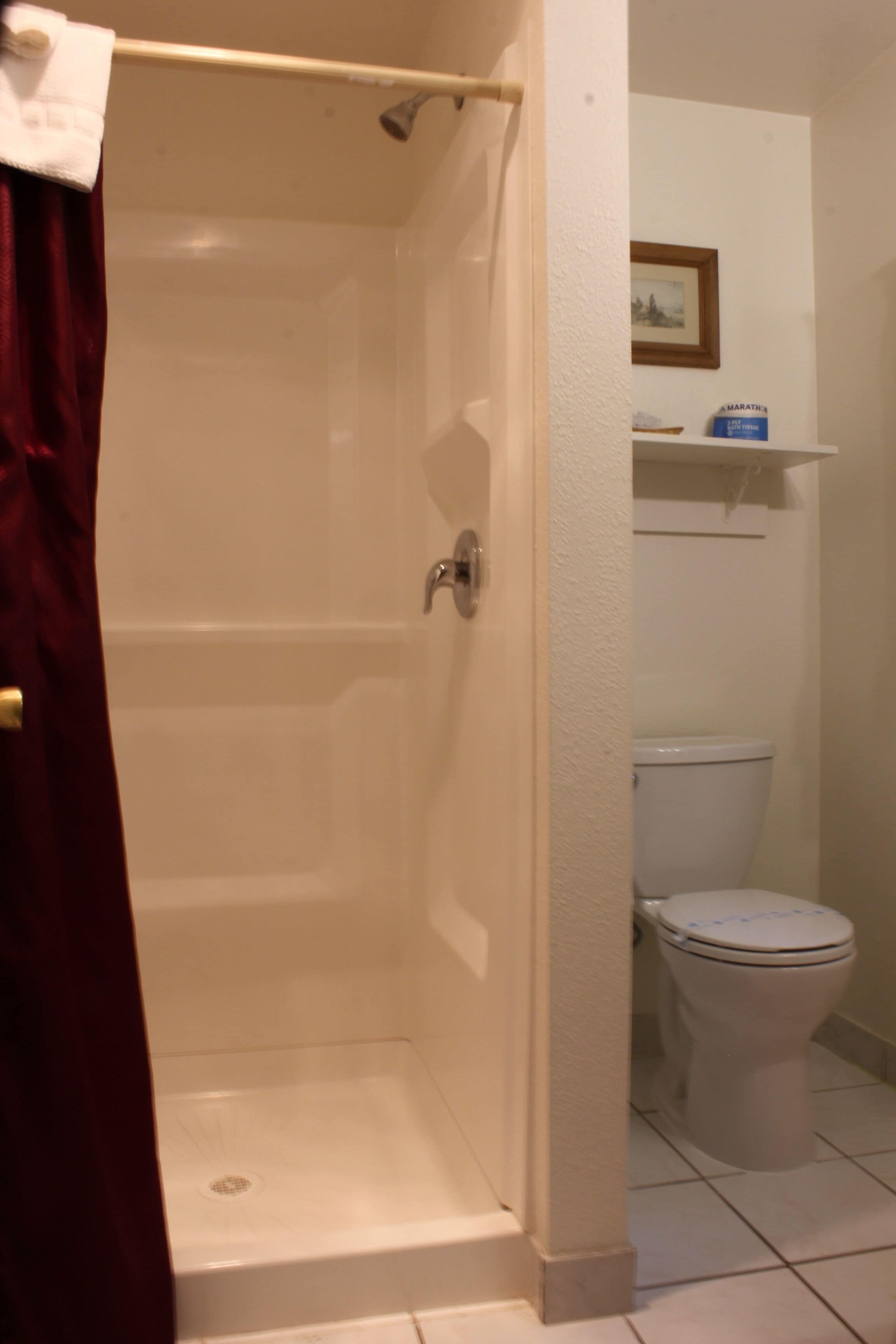 A bathroom with a shower, toilet, and a shelf with toiletries.