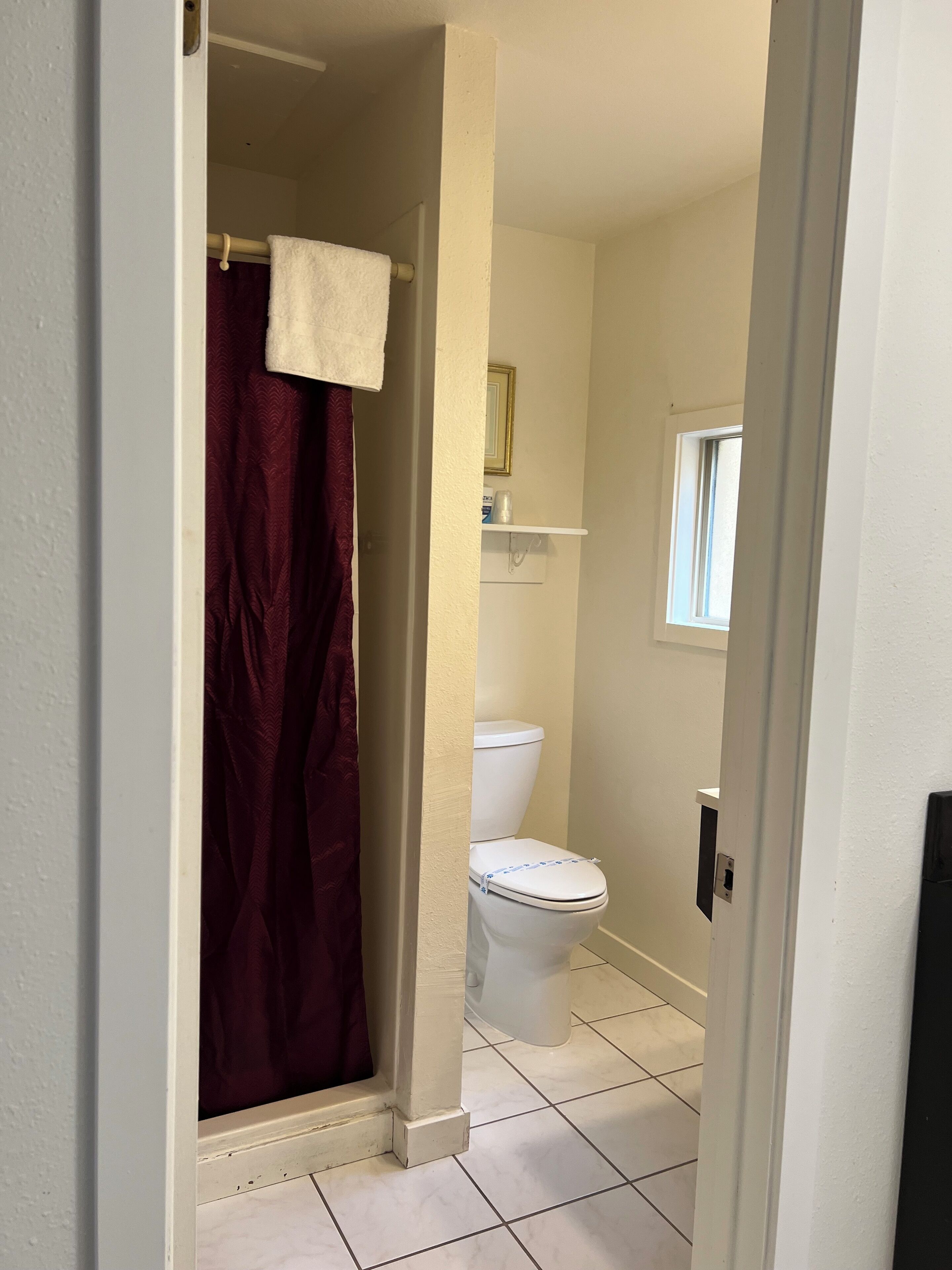 Ein Badezimmer mit Toilette, Duschvorhang und Fenster.
