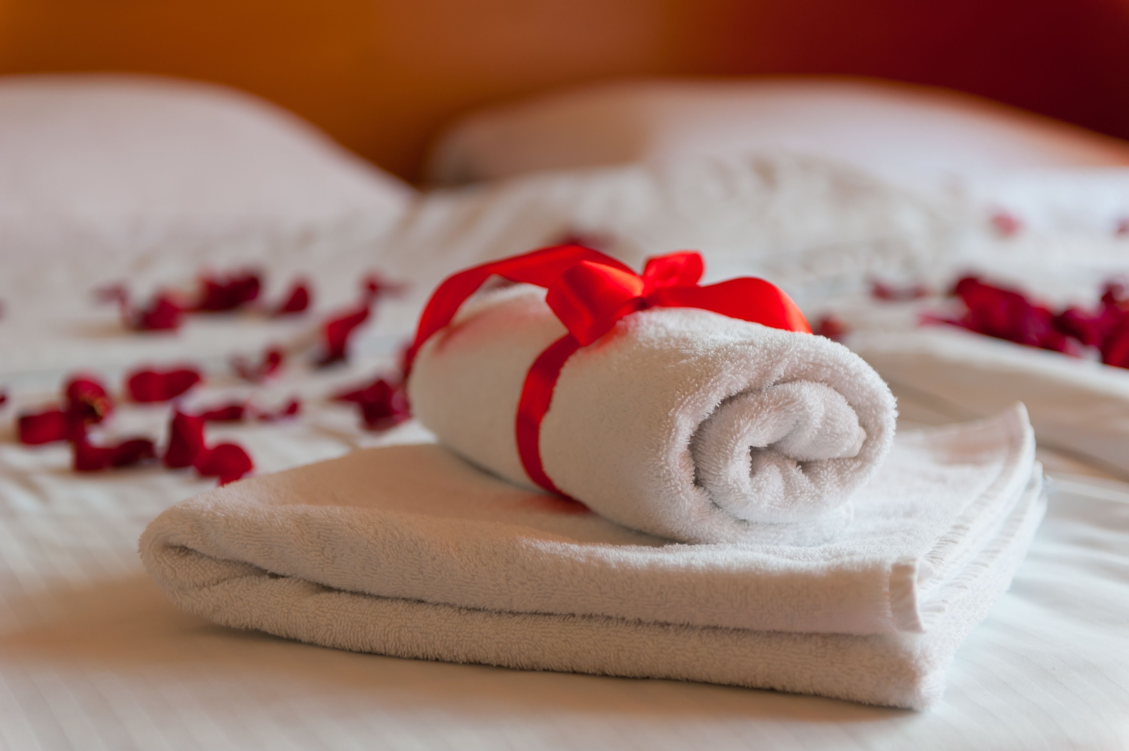 A neatly folded white towel with a red ribbon on a bed with white sheets and scattered rose petals.