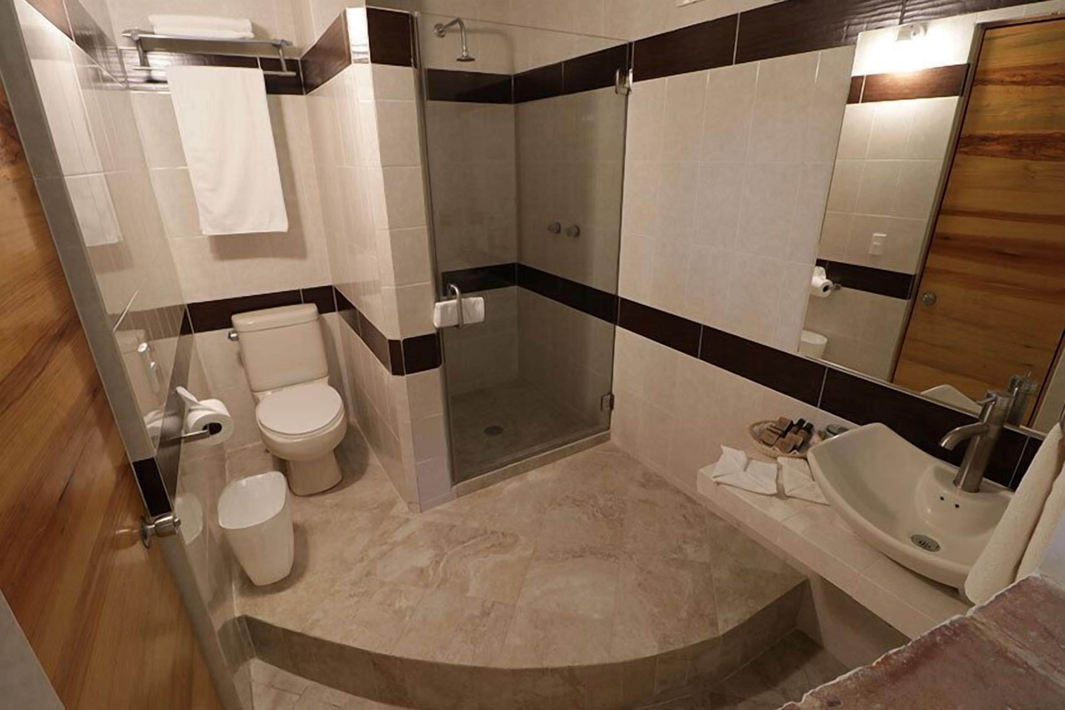 A bathroom with a toilet, shower, sink, and mirror.