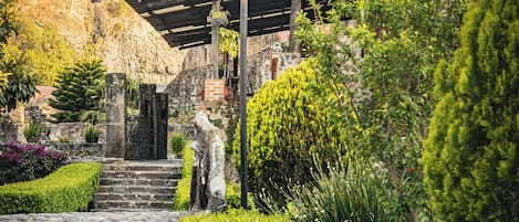A stone staircase leading to a building with a thatched roof, surrounded by well-maintained hedges and plants.