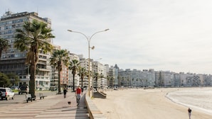 A coastal promenade with palm trees, benches, and a beach. - 27 Suites Apart Hotel (Montevideo)