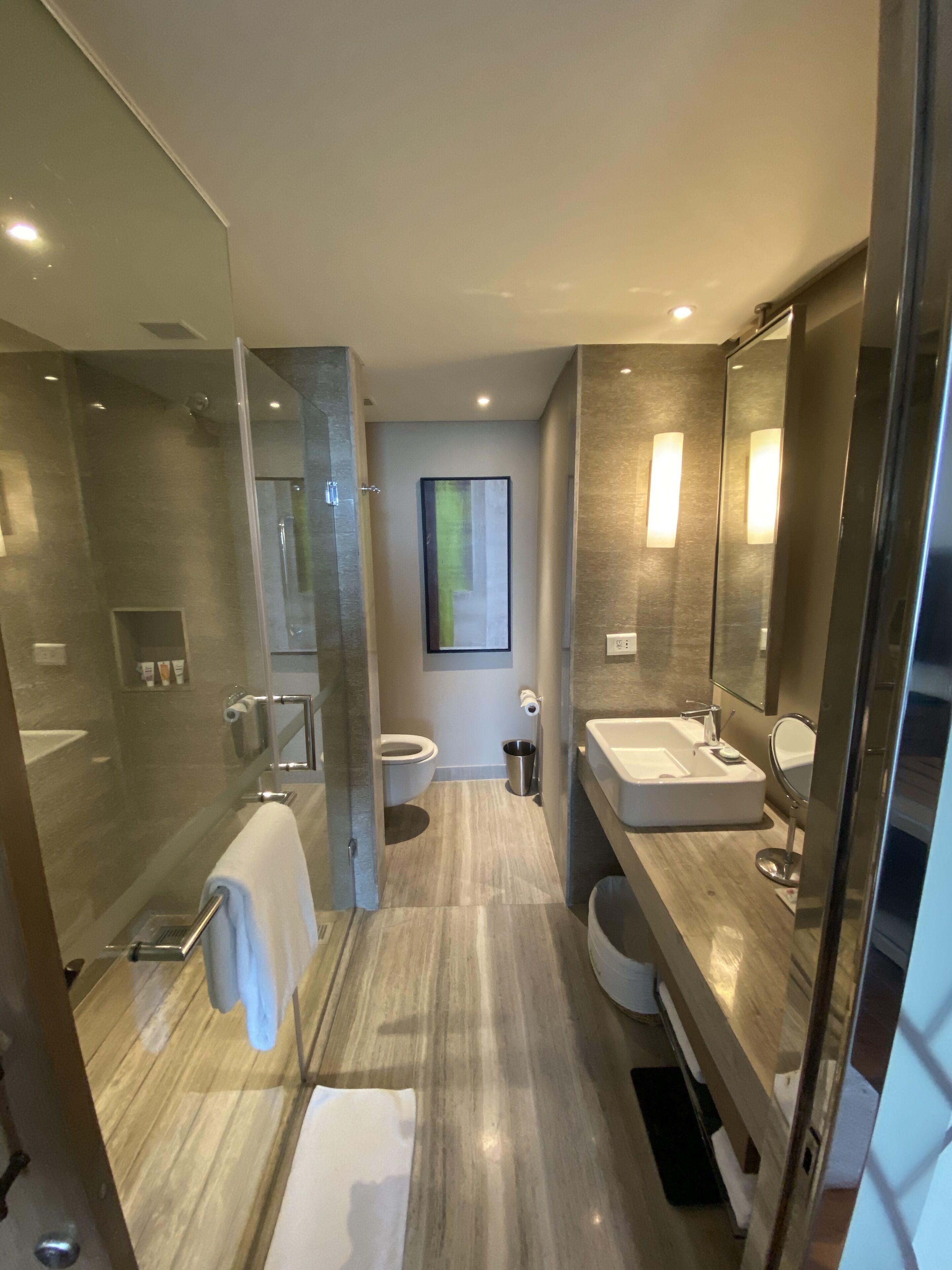 A modern bathroom with a glass shower enclosure, a large mirror, a toilet, and a sink with a vanity.