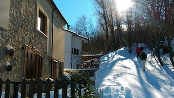 Snowshoeing