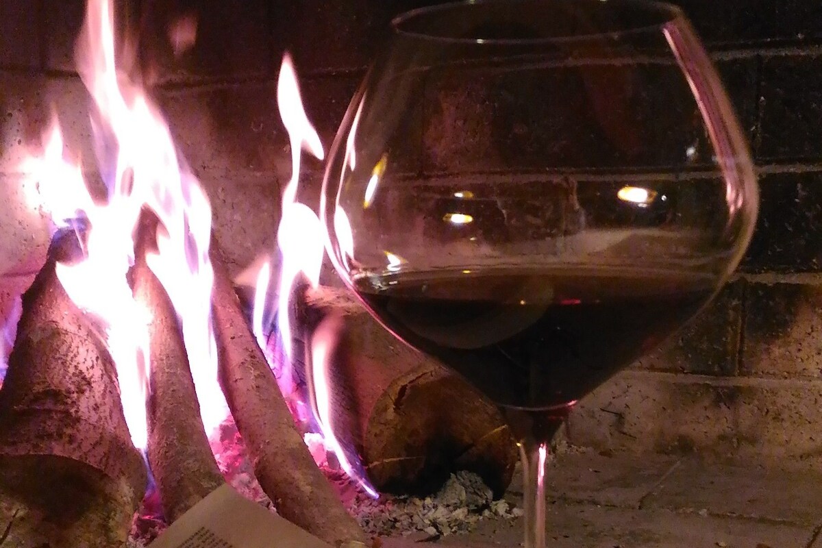 A book, a glass of red wine, and a fire.