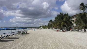 Playa en los alrededores y 10 bares en la playa