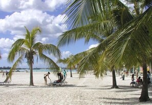 Playa en los alrededores y 10 bares en la playa 