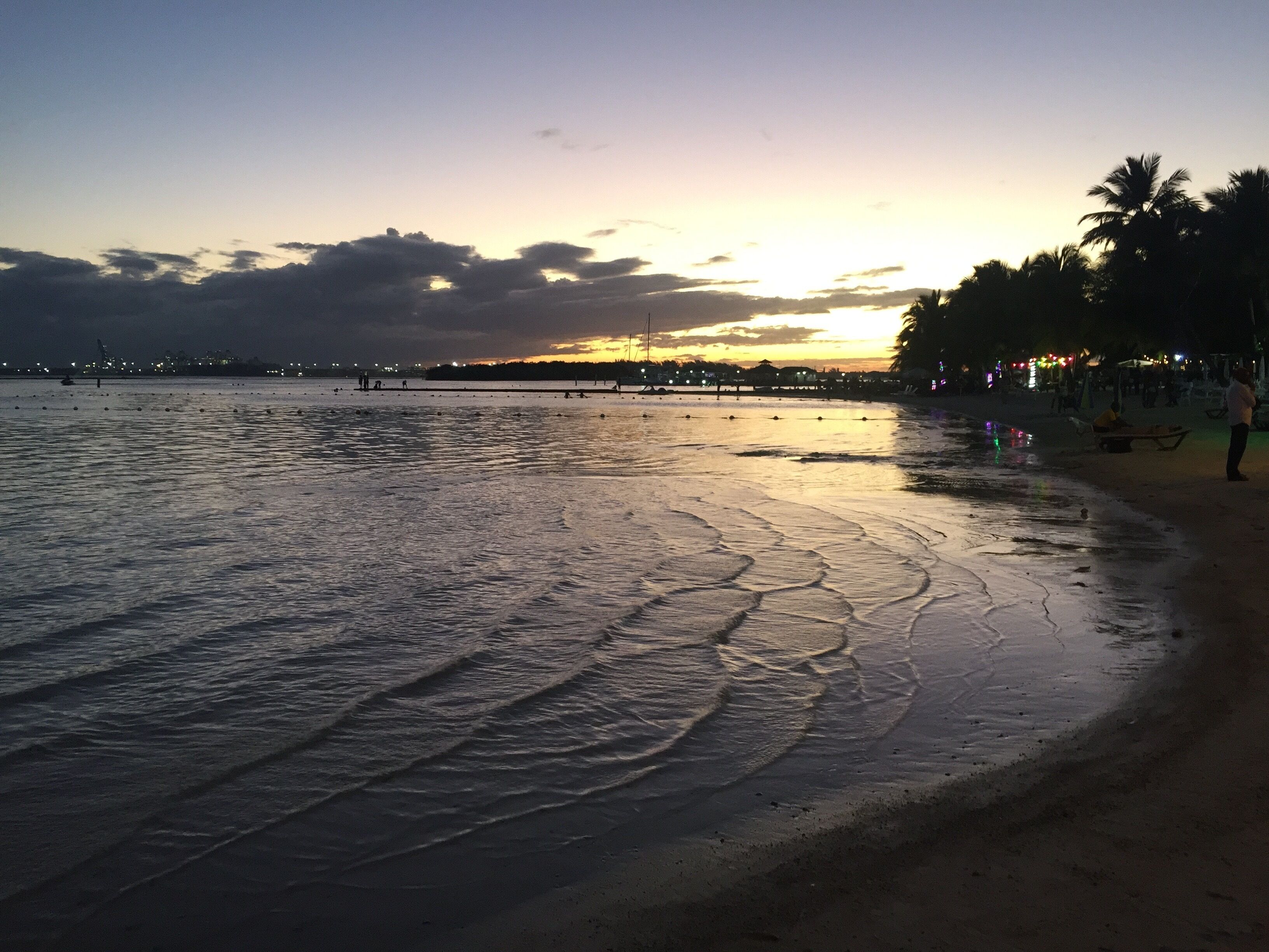 A beach with calm waters, palm trees, and a sunset in the background.