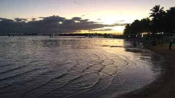 A beach with calm waters, palm trees, and a sunset in the background.