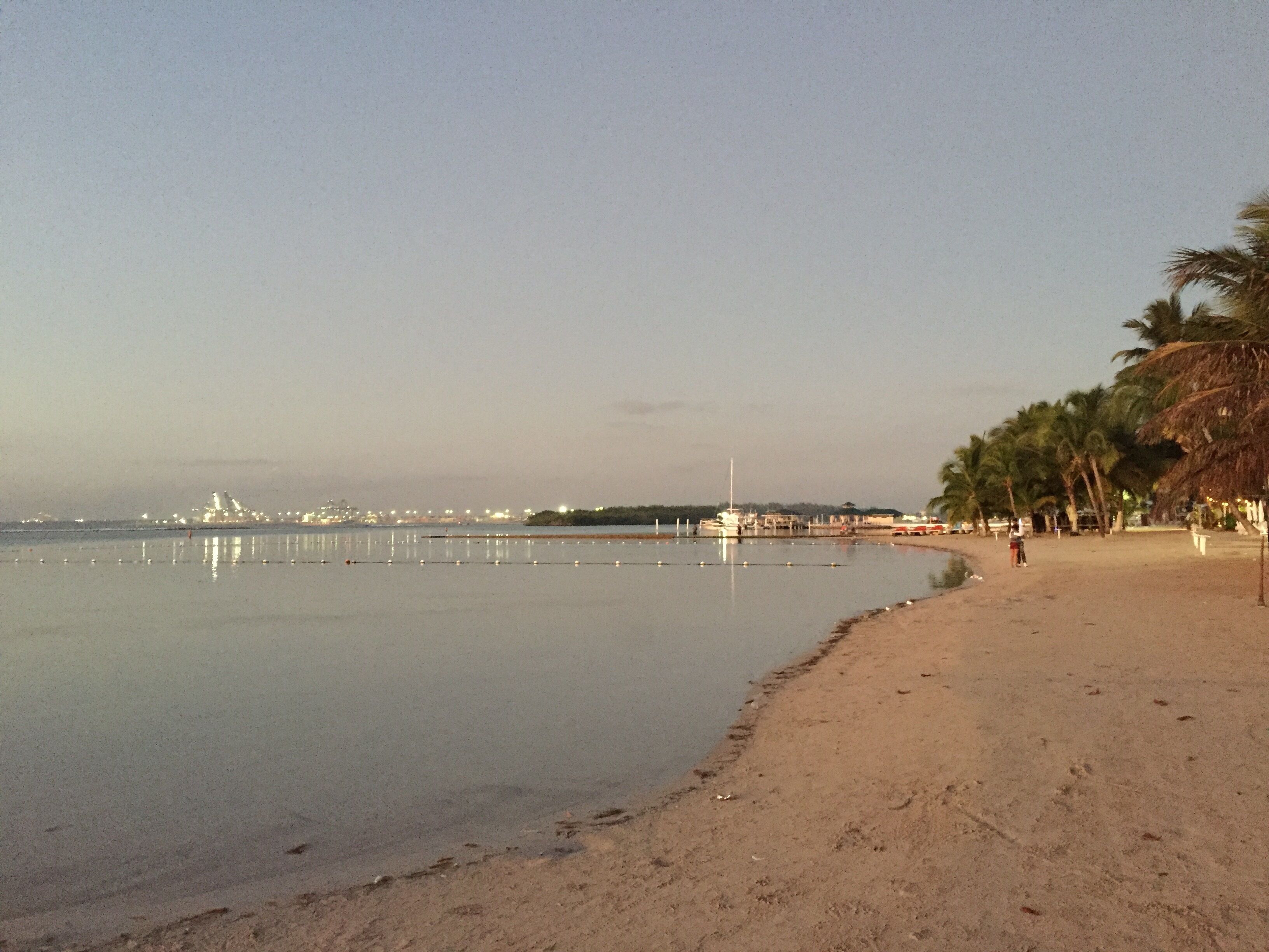 A beach with a calm sea, a sandy shore, and a few palm trees.
