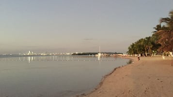 A beach with a calm sea, a sandy shore, and a few palm trees.