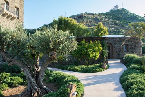 Giardino