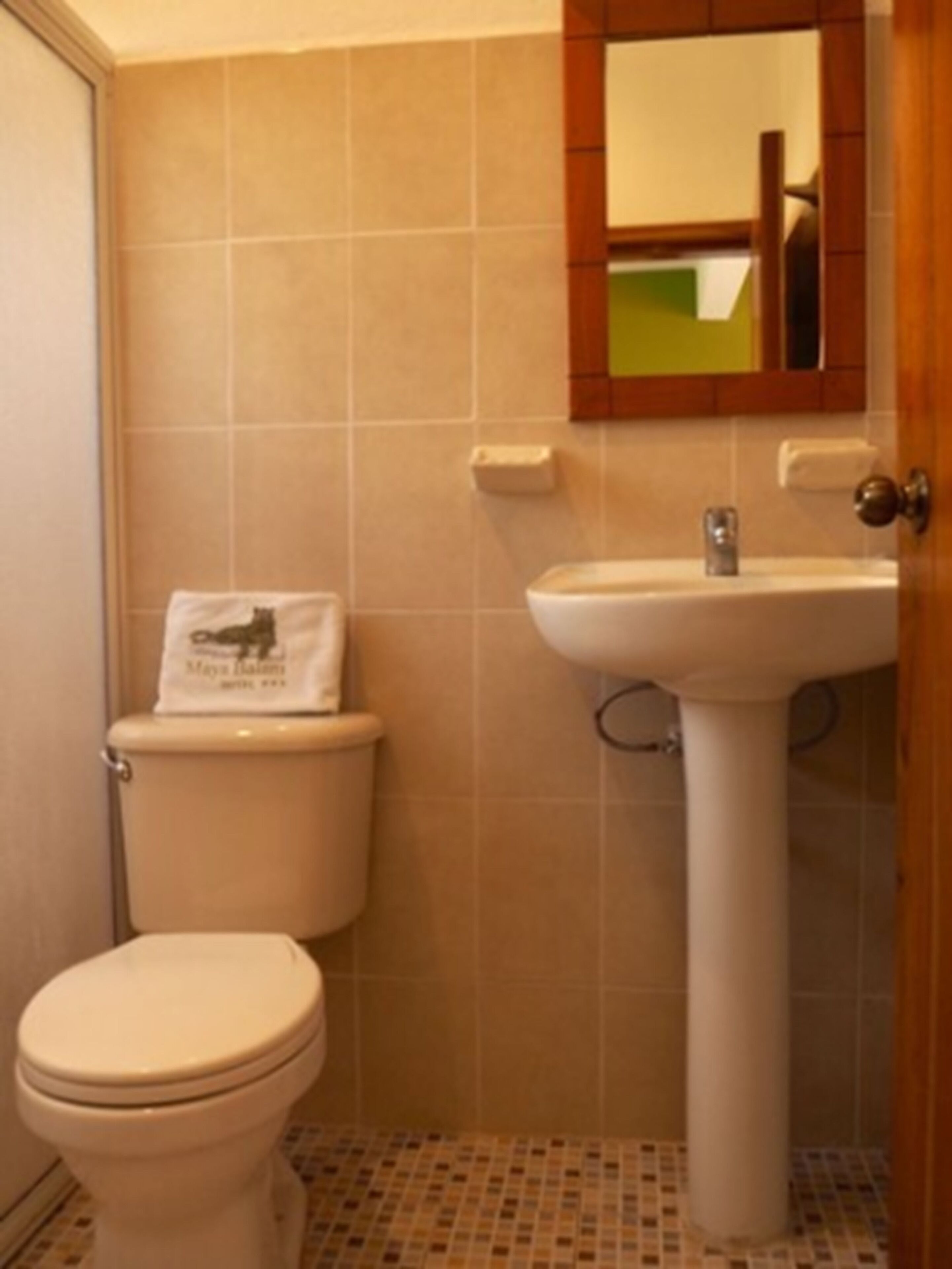 superior room | bathroom | shower, towels