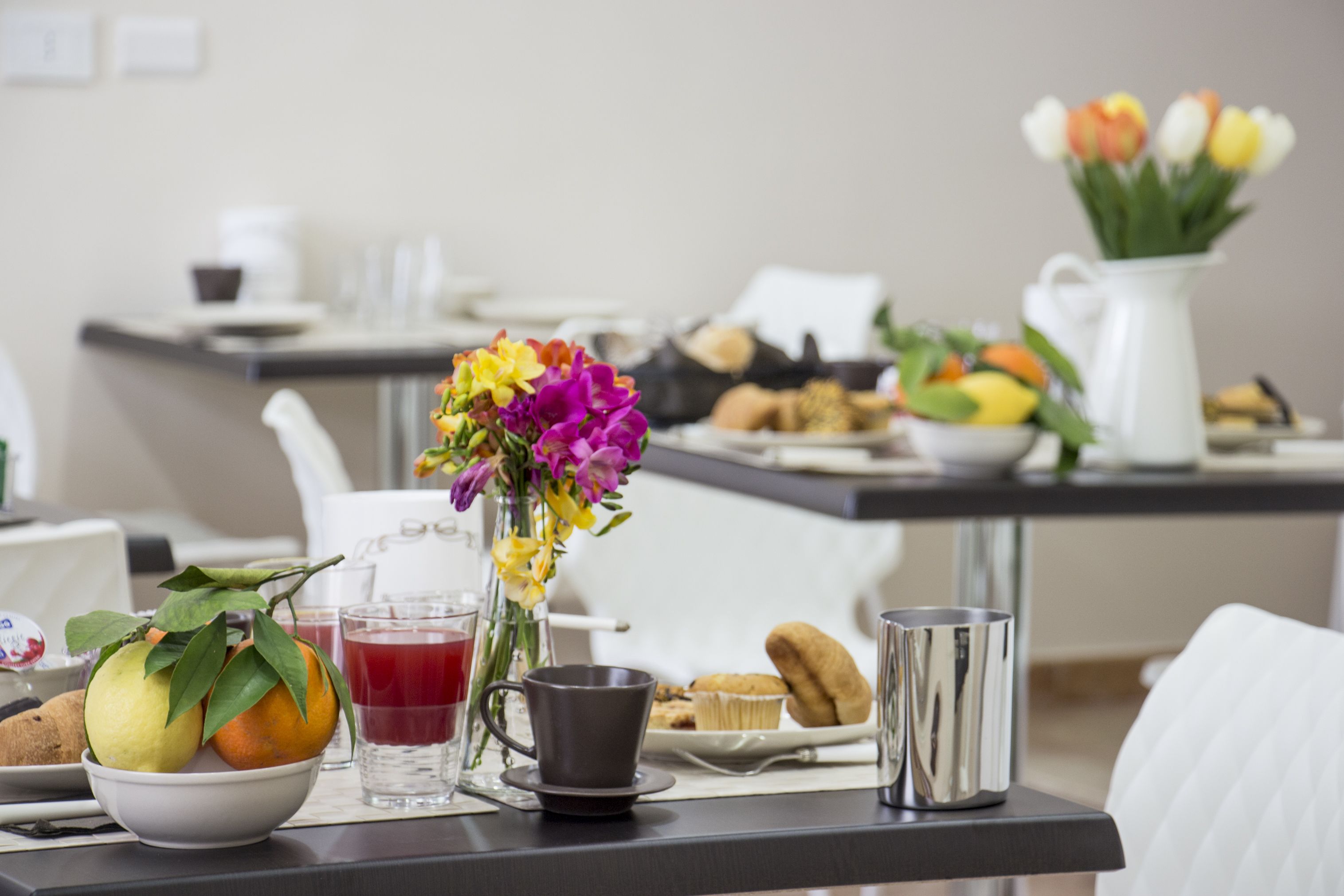 Foto - Hotel le Muse