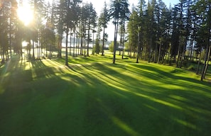 Golf