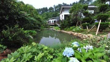 A pond surrounded by lush greenery and a building with a modern design.