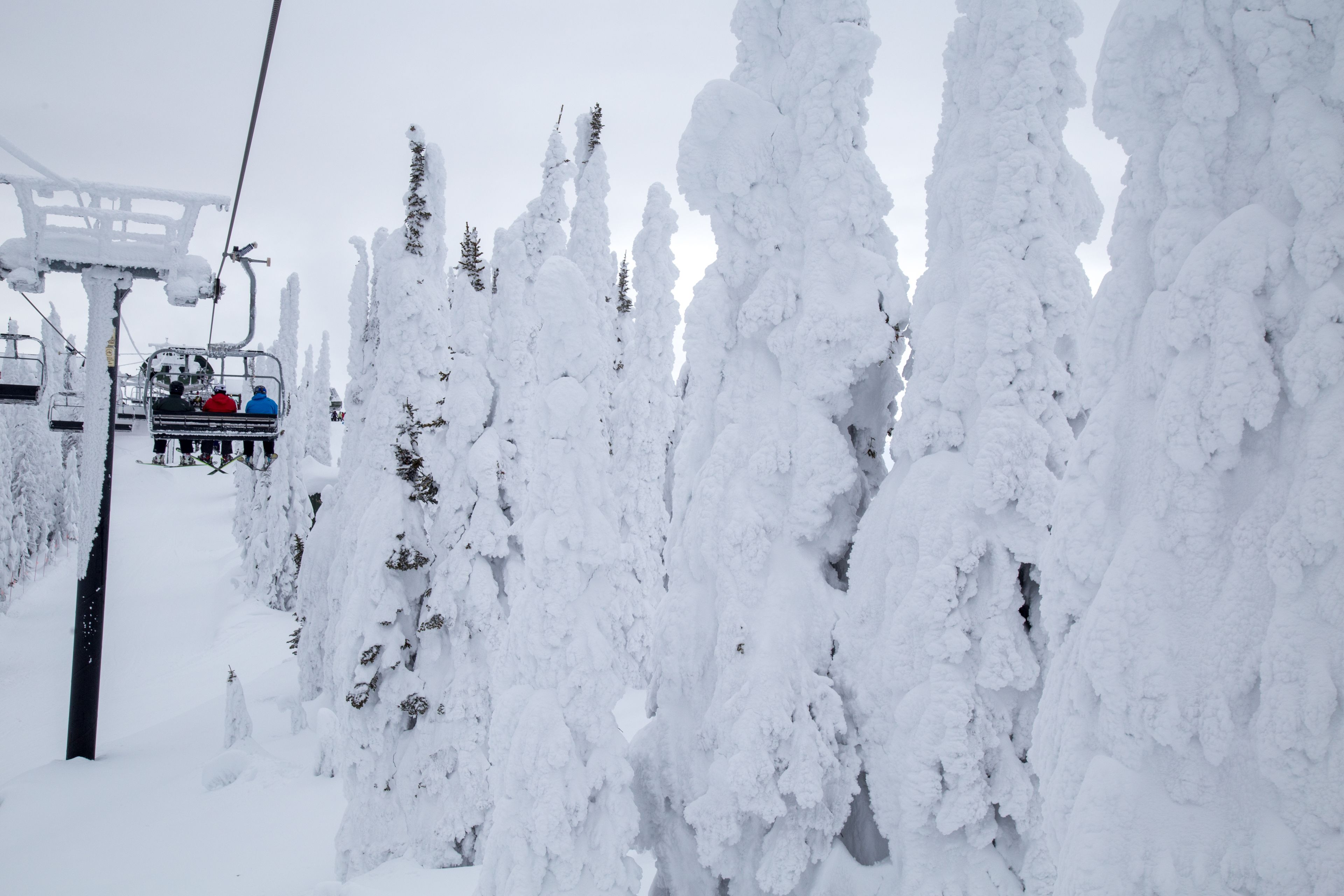 A ski lift with snow-covered trees in the background.