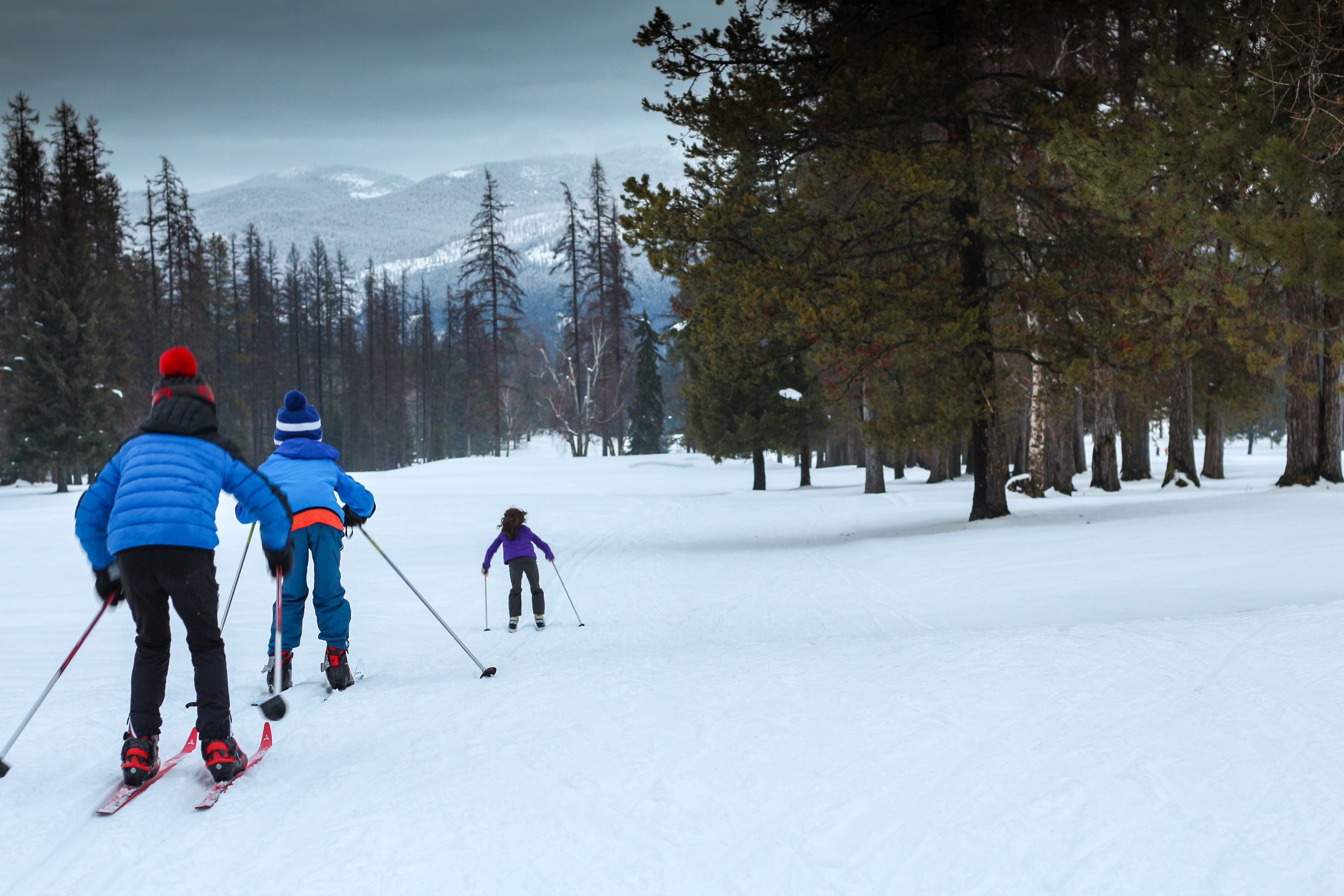 A snowy landscape with skiers.