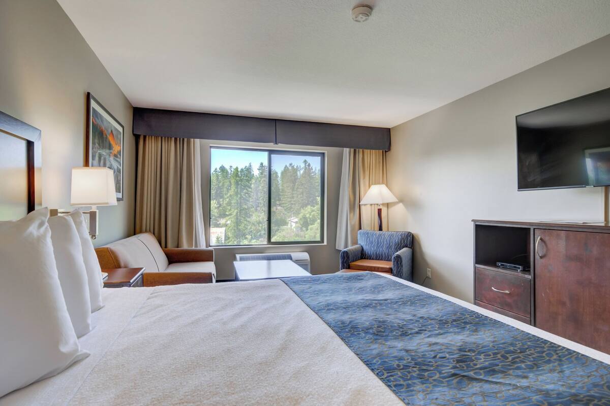 Hotelkamer met een groot bed, een bureau, een stoel, een televisie en een raam met uitzicht op bomen.