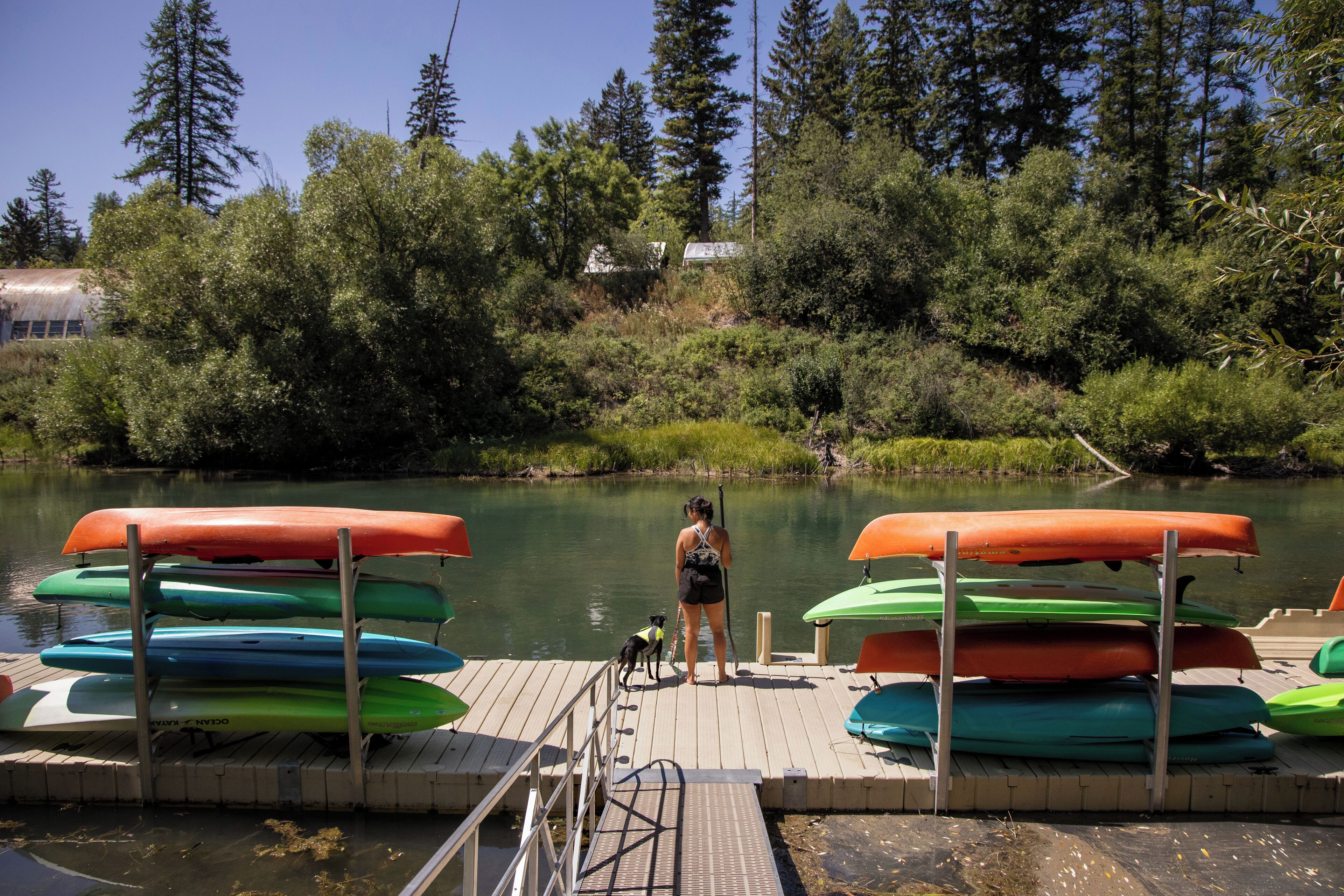 A dock with canoes and a dog near a body of water surrounded by trees.