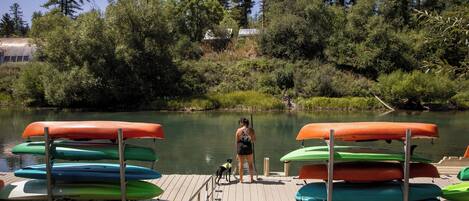 A dock with canoes and a dog near a body of water surrounded by trees.
