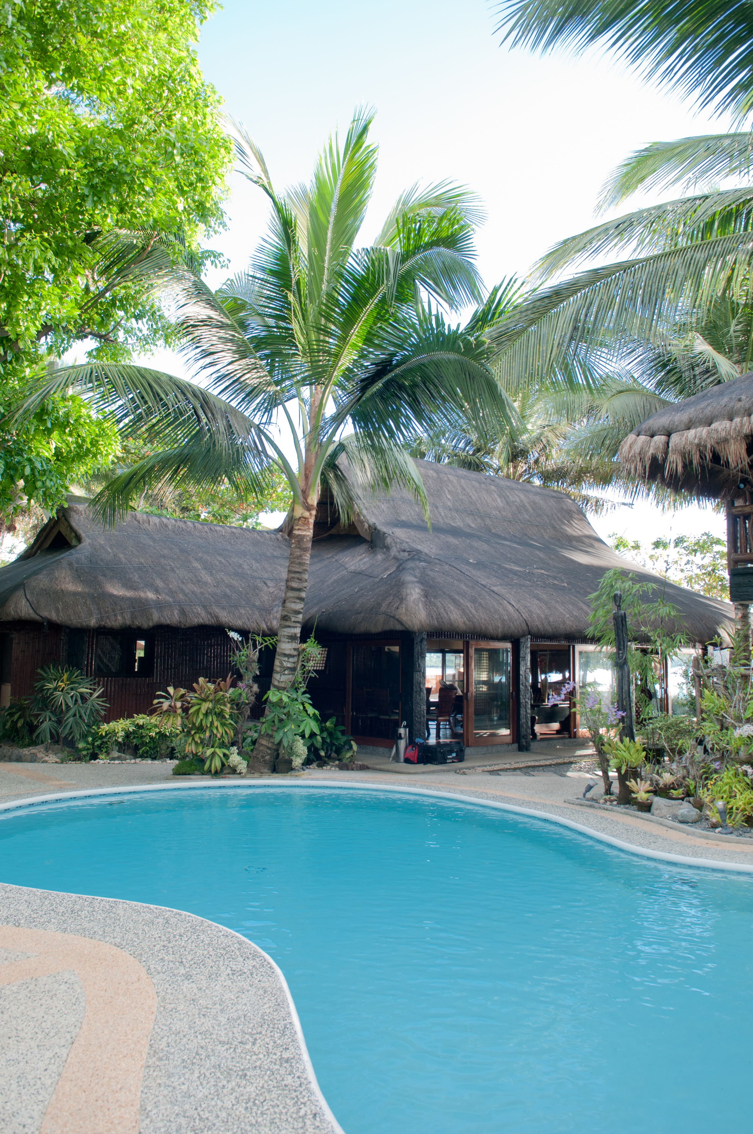 A pool area with a thatched-roof structure, surrounded by palm trees and tropical plants.