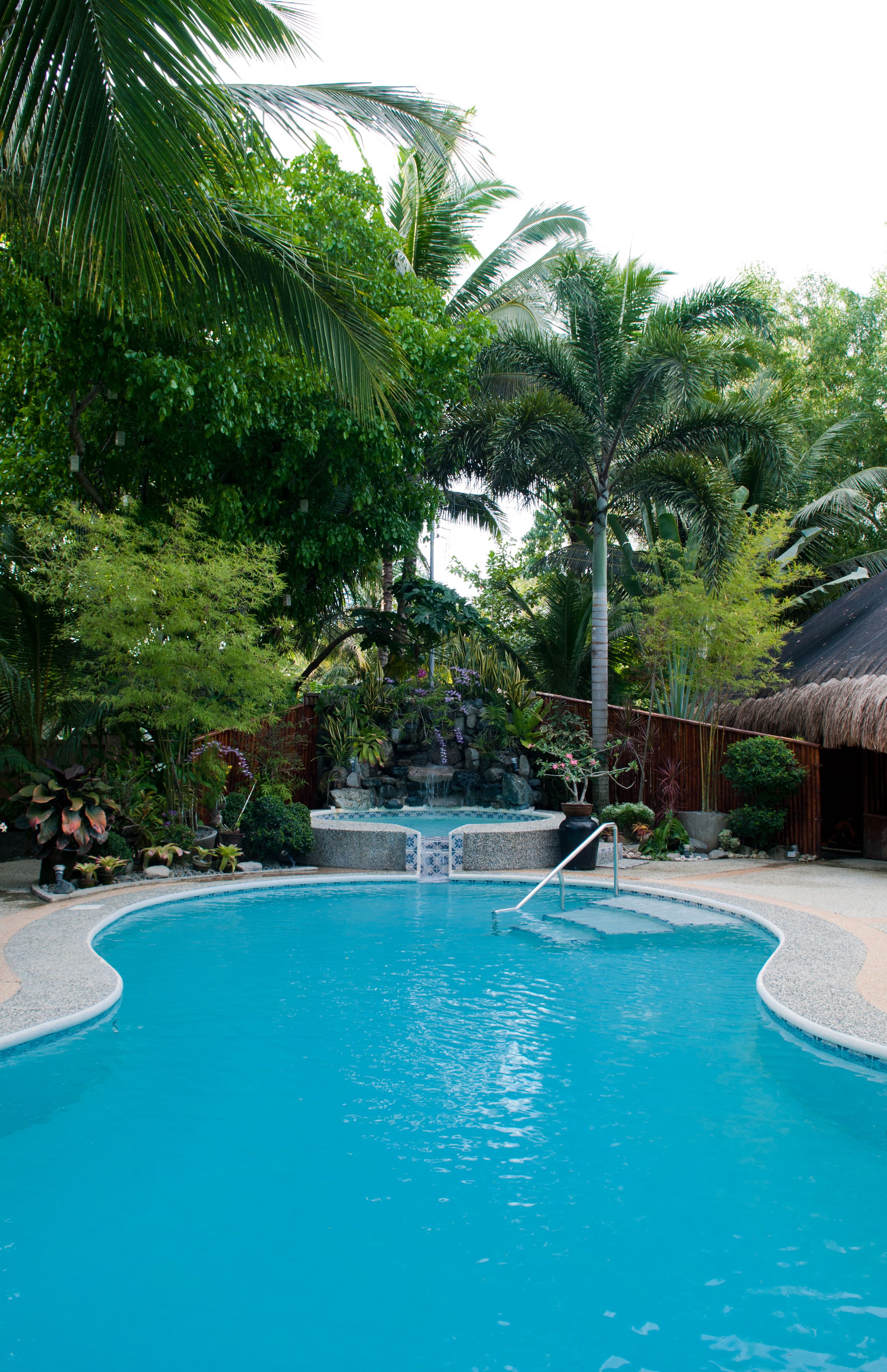 Una piscina rodeada de abundante vegetación y una construcción con techo de paja.