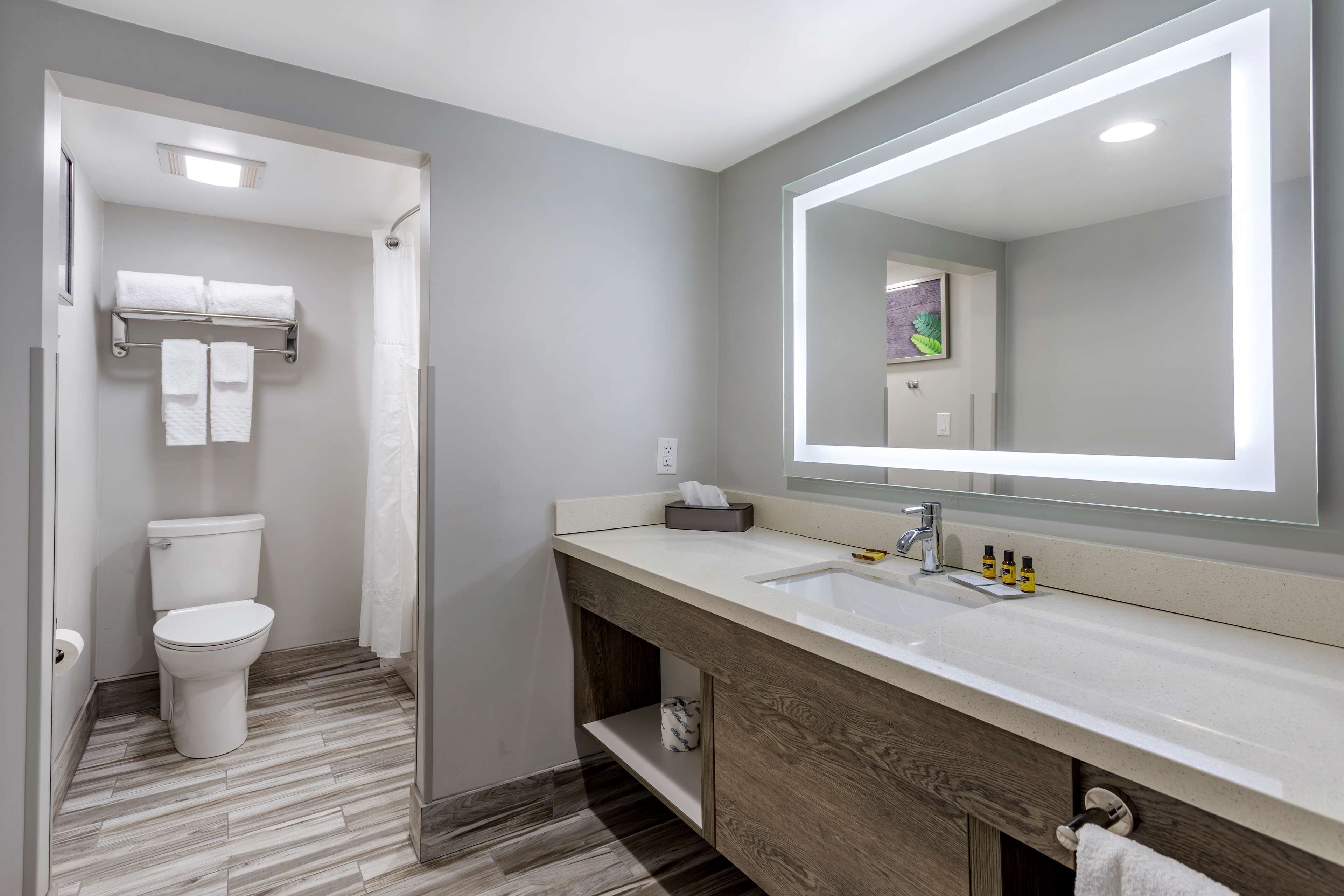 standard room, 1 king bed, non smoking, jetted tub | bathroom | combined shower/bathtub, free toiletries, hair dryer, towels