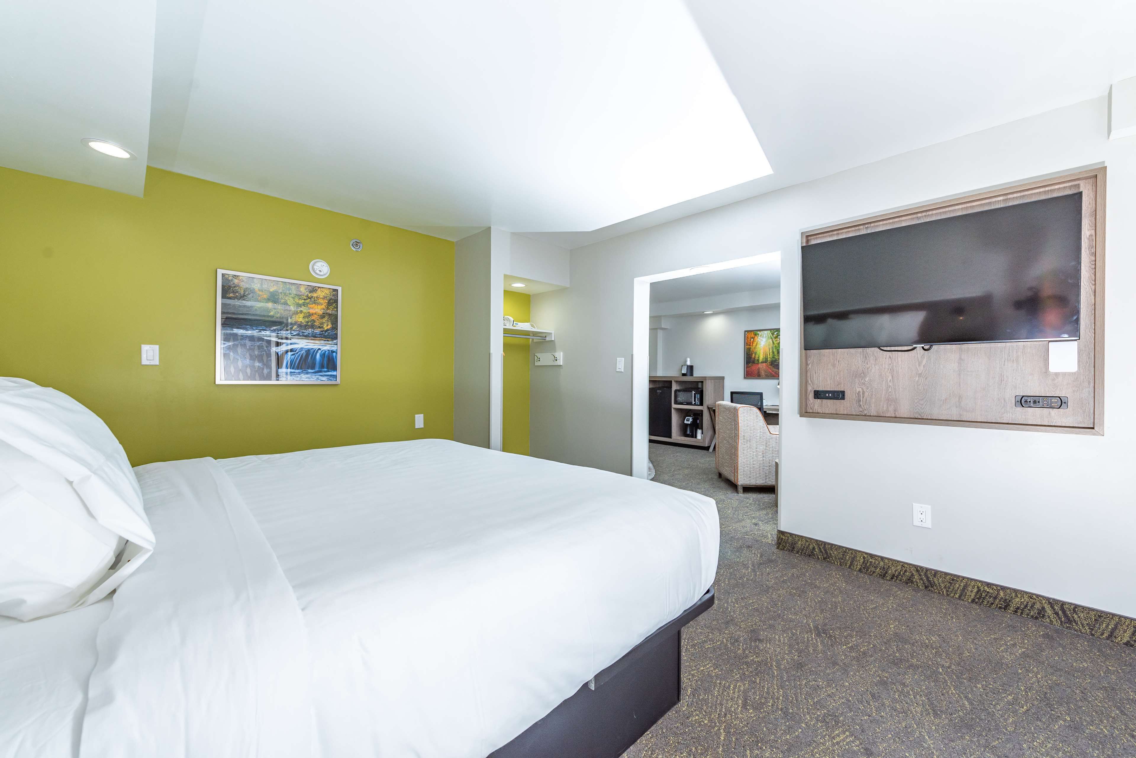 suite, 1 king bed, non smoking, jetted tub | desk, iron/ironing board, free wifi, bed sheets