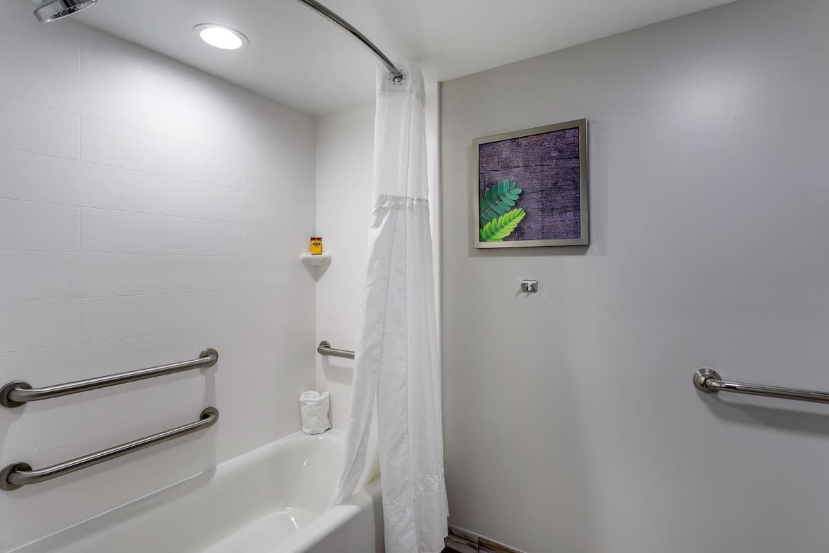 Bañera con ducha, artículos de tocador gratuitos, secador de pelo