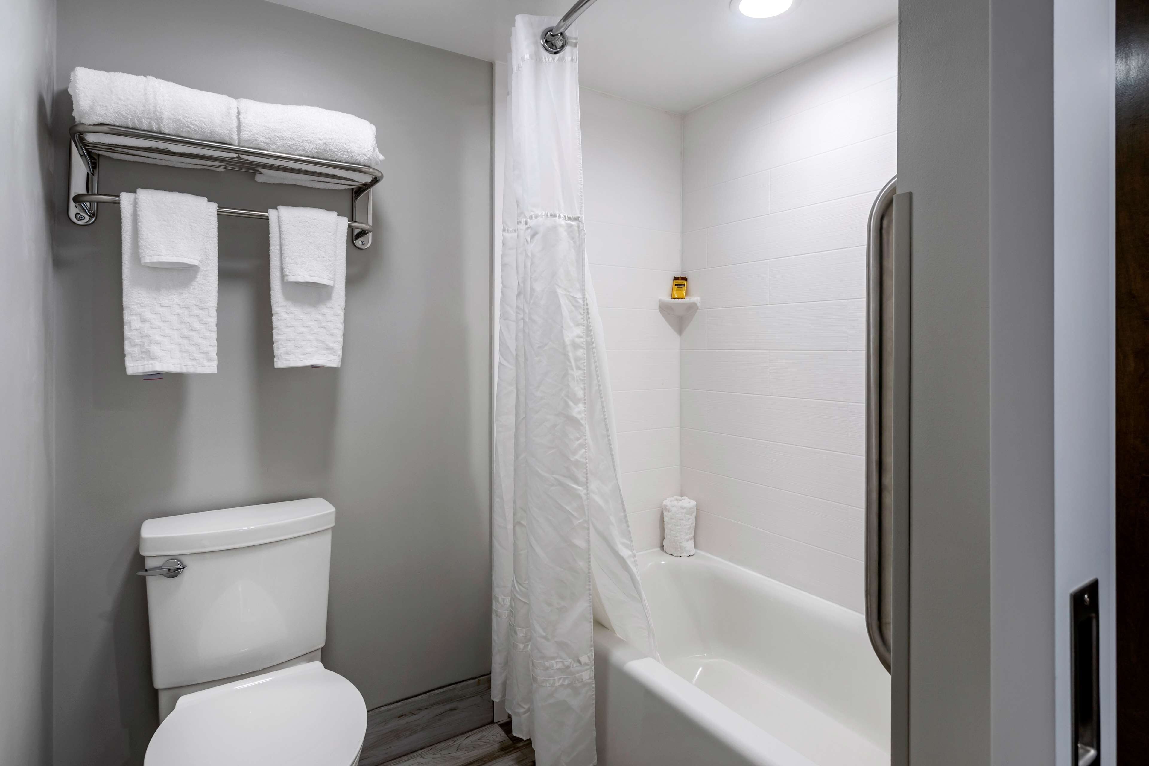 combined shower/bathtub, free toiletries, hair dryer, towels