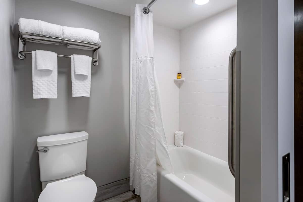 Bañera con ducha, artículos de tocador gratuitos, secador de pelo