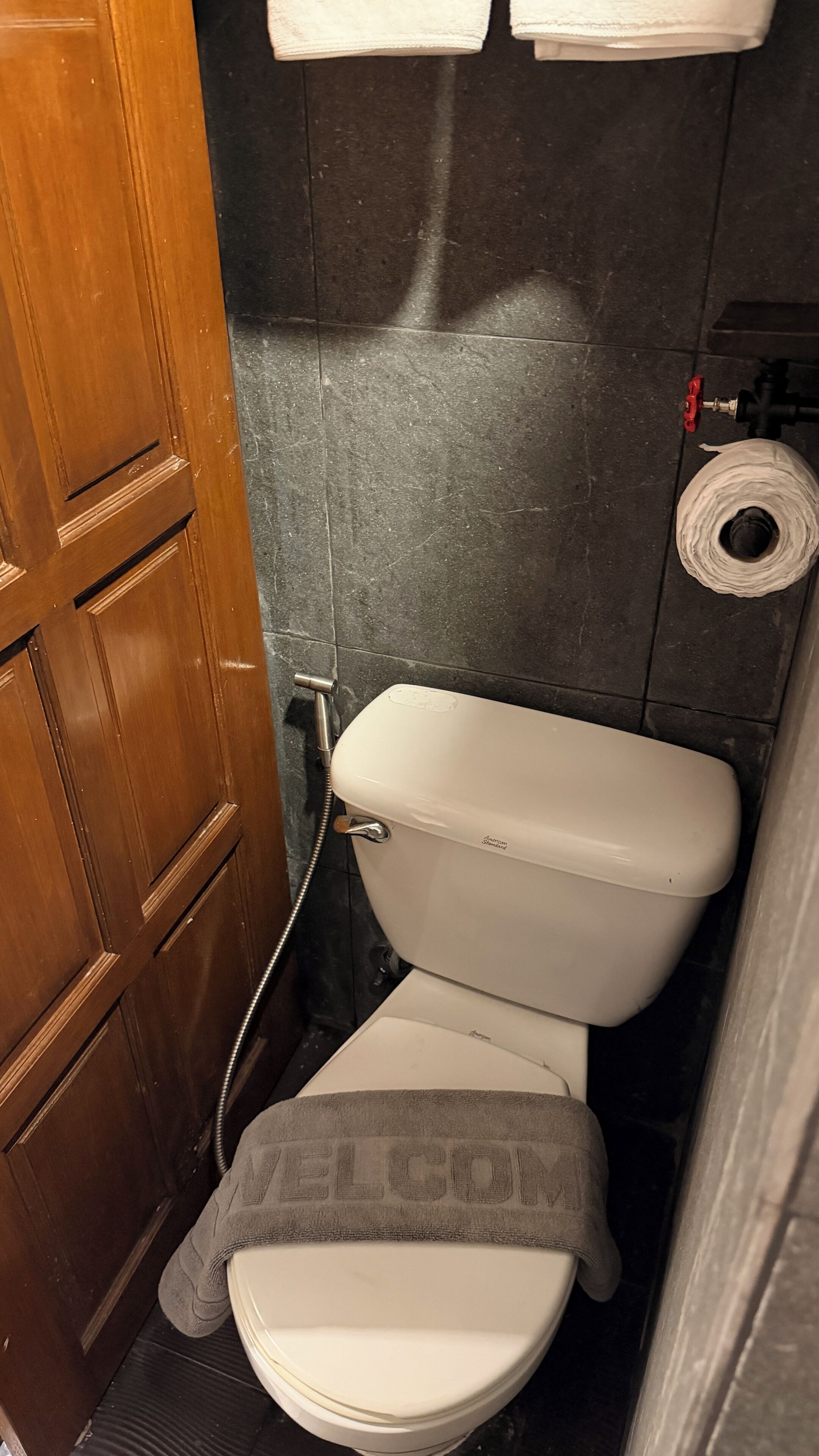 A small bathroom with a toilet, a towel hanging on the wall, and a roll of toilet paper.