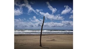 Une plage avec un seul arbre au premier plan et un ciel dégagé parsemé de nuages.