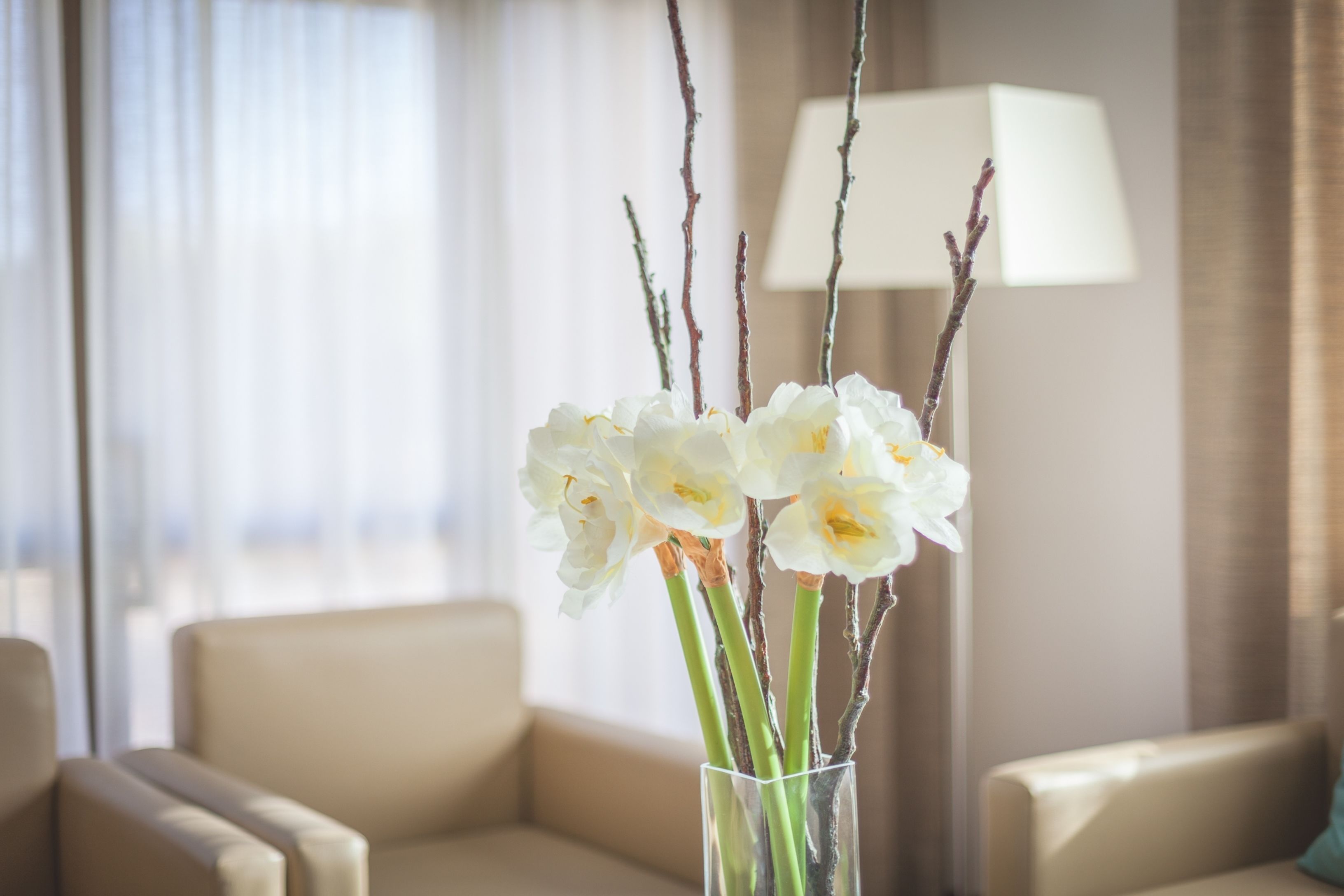 Foto - Marina Palace by Intercorp Hotel Group