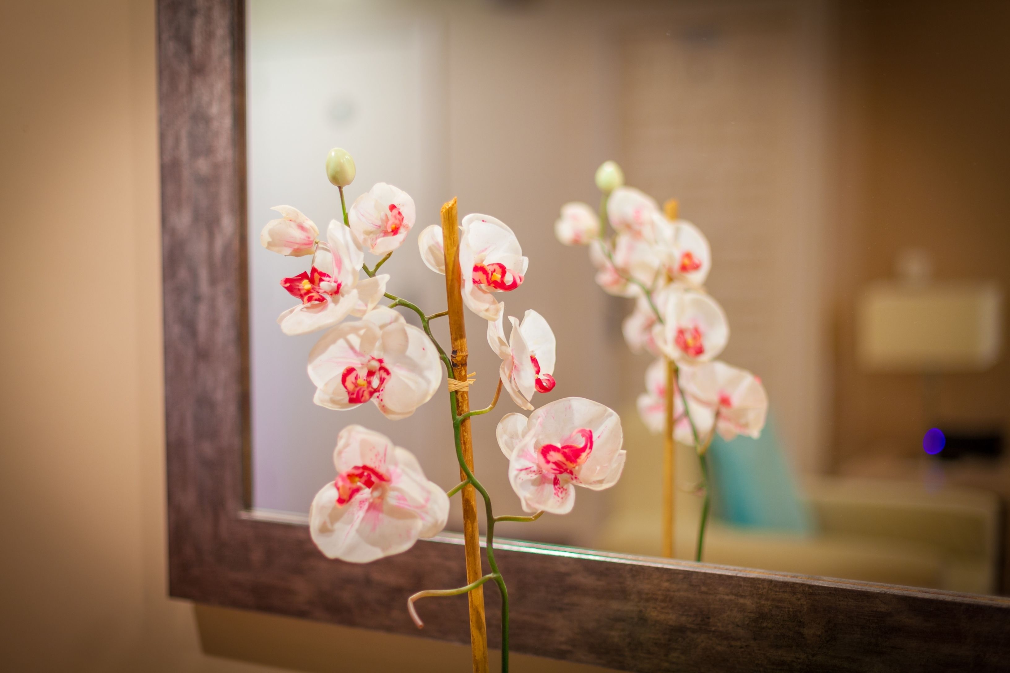 Foto - Marina Palace by Intercorp Hotel Group