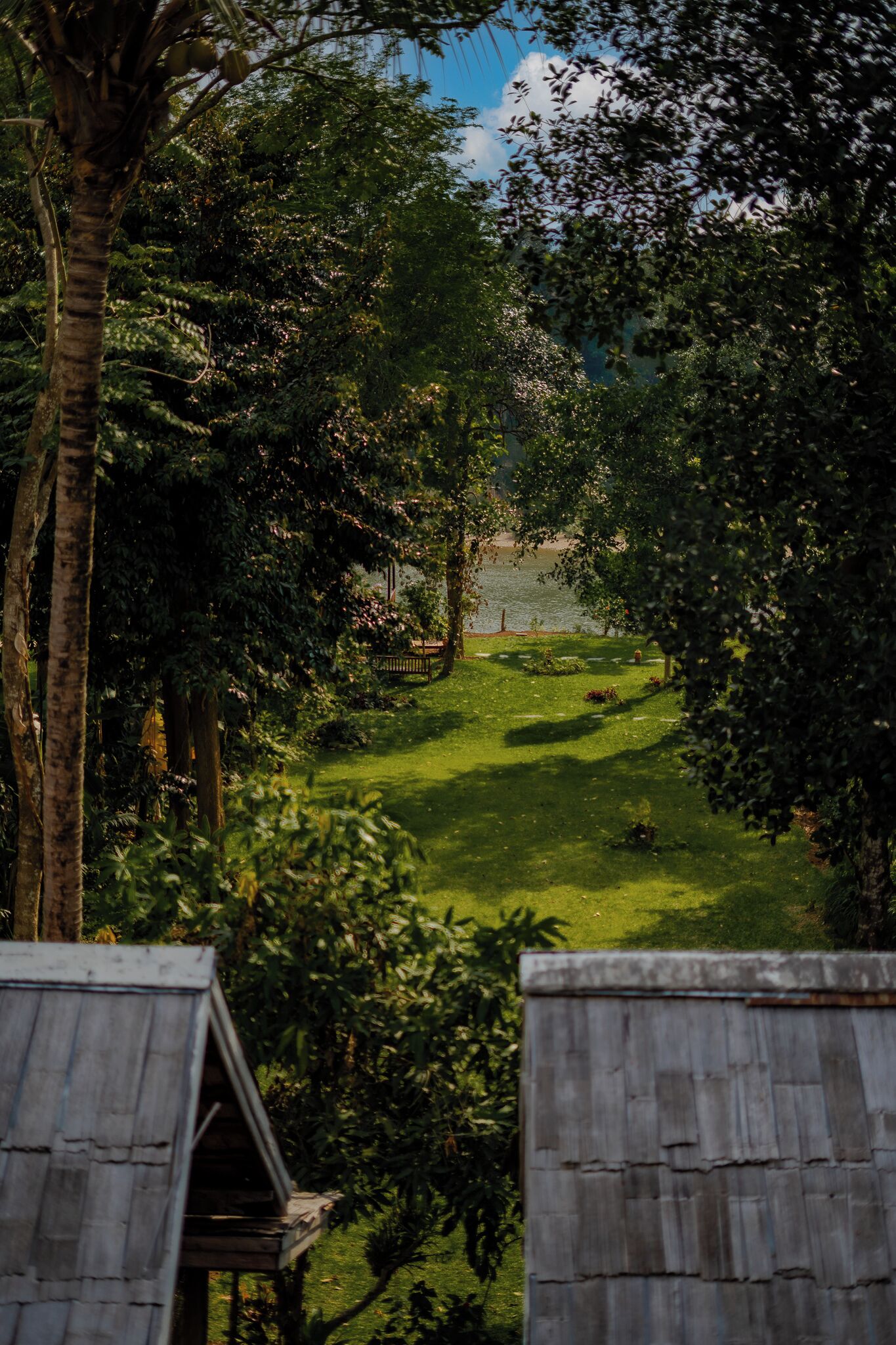 A lush garden with a wooden structure, possibly a gazebo or shed, surrounded by dense foliage and a clear sky.
