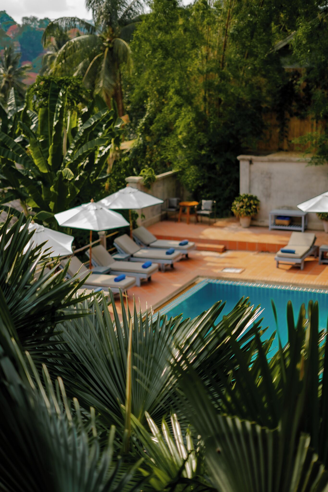 Zona de piscina con sillas de descanso y sombrillas, rodeada de abundante vegetación.