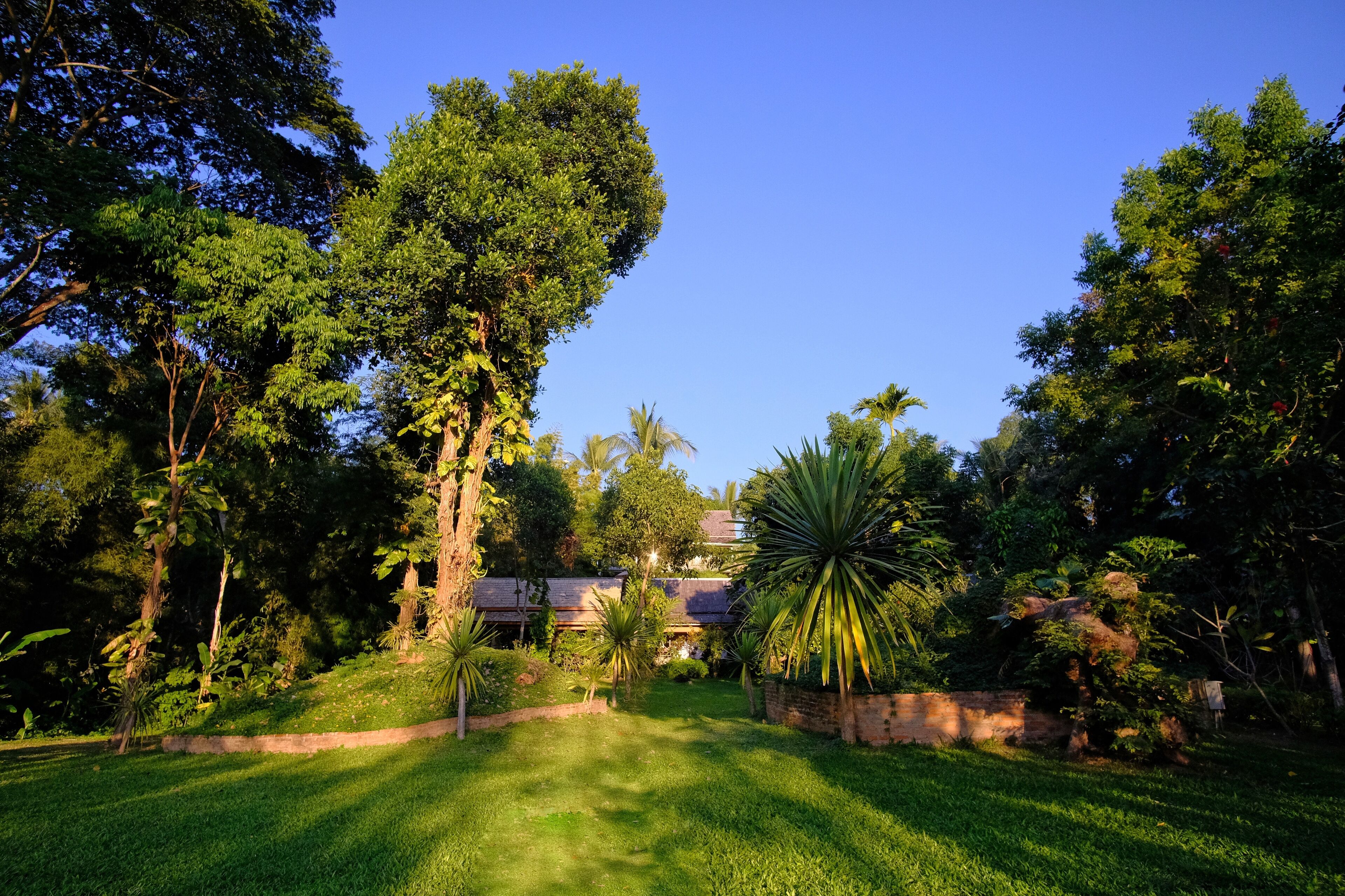 Un rigoglioso giardino con diverse specie di alberi e un prato curato.