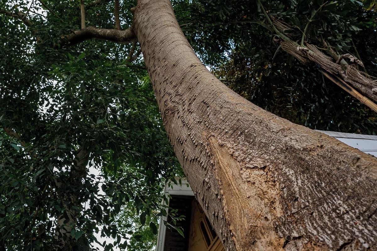 Private Garden Boutique Villa | Minibar, in-room safe, desk, laptop workspace