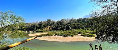 Un río con un puente de madera, rodeado de abundante vegetación y árboles.