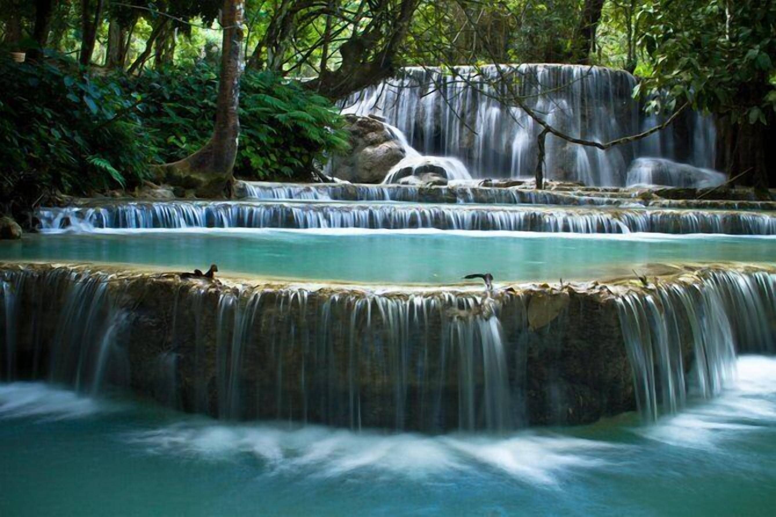 Una cascada escalonada con agua cristalina que cae sobre peldaños de roca, rodeada de un bosque frondoso.