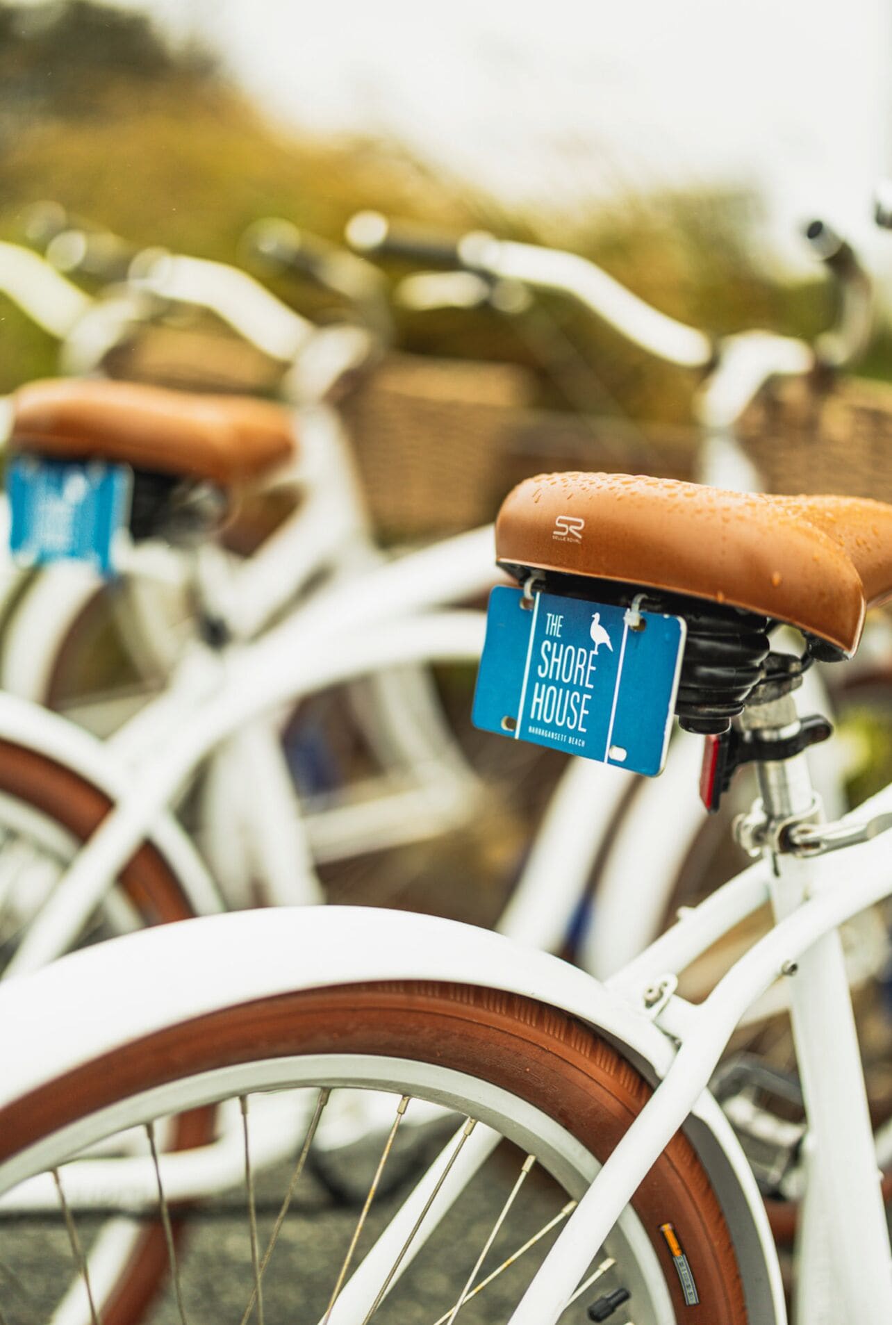 Une rangée de vélos, avec une pancarte bleue indiquant qu’ils sont à louer et portant l’inscription « The Shore House ».