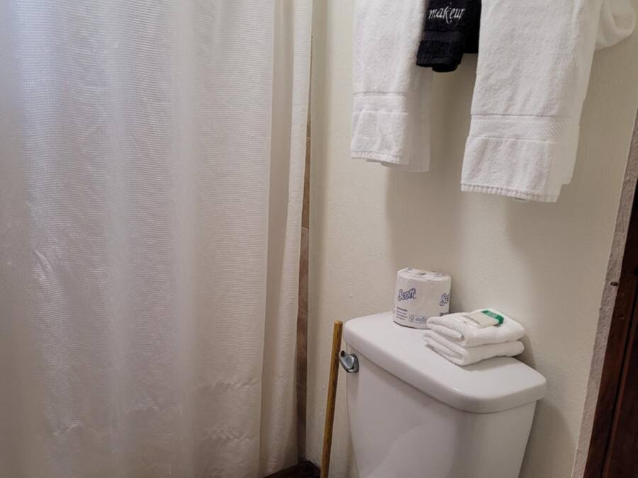 Uma casa de banho pequena com sanita, cortina de chuveiro e duas toalhas penduradas num porta-toalhas.